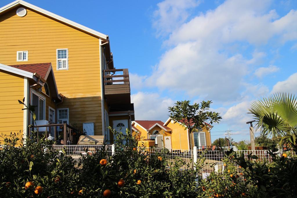 Villa Healing House à Seogwipo Extérieur photo