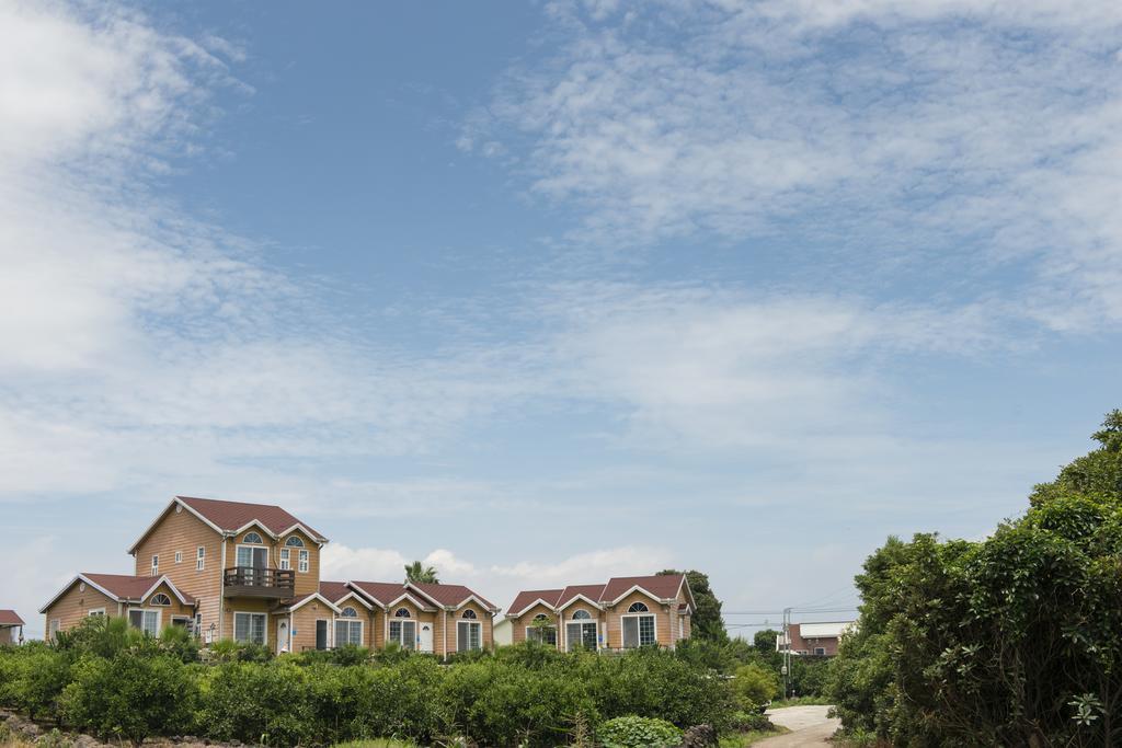 Villa Healing House à Seogwipo Extérieur photo