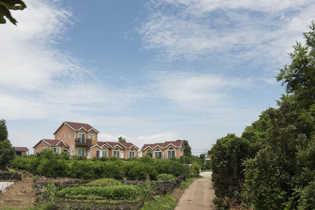 Villa Healing House à Seogwipo Extérieur photo