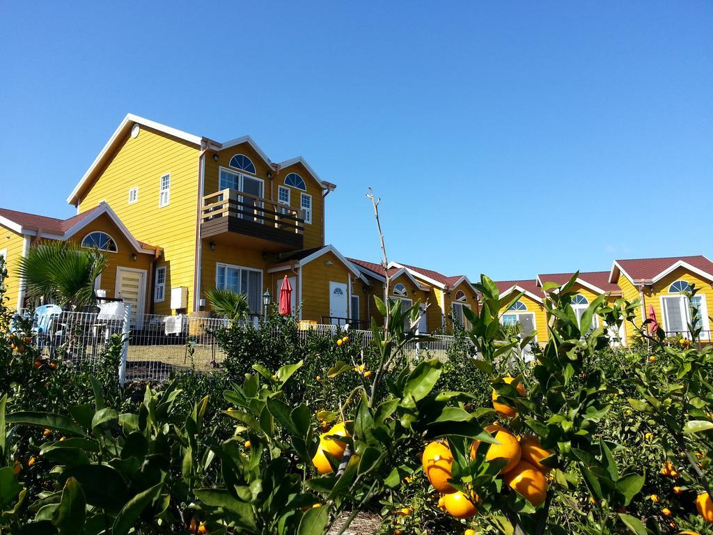 Villa Healing House à Seogwipo Extérieur photo